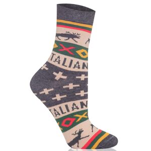 Pánské ponožky Italian Fashion S161D Asama Tmavě šedá-zelená 41-43